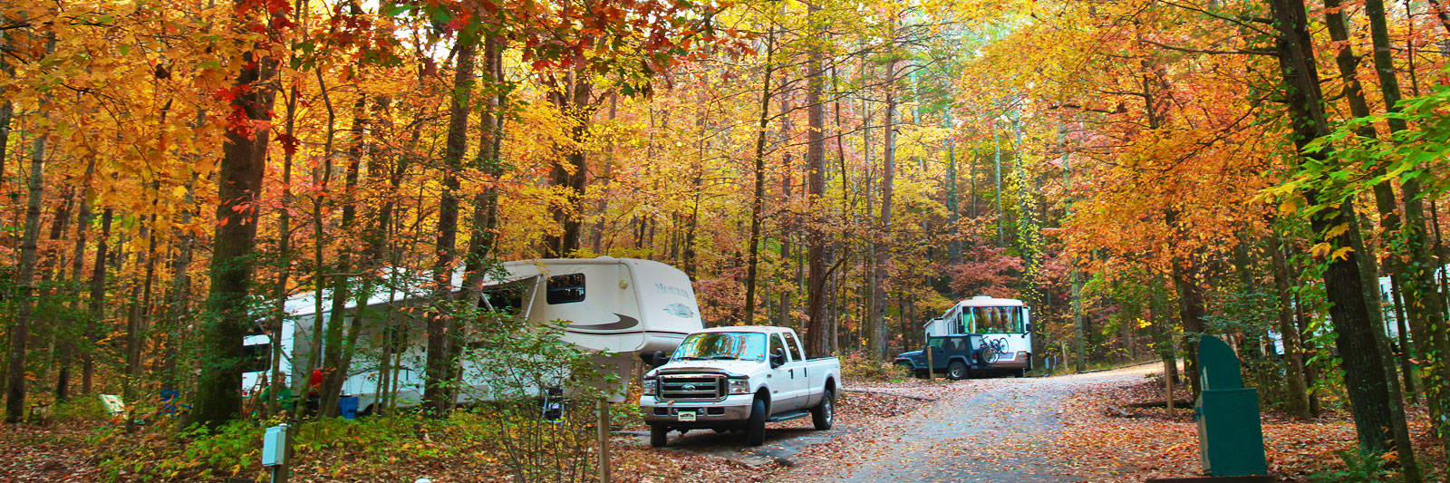 Unicoi Adventure Lodge Accommodations Campsites 1